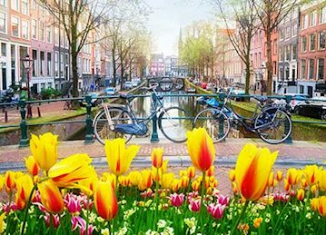 Amsterdam canal scene with colorful tulips in the foreground