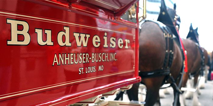 Budweiser carriage St Louis, Missouri