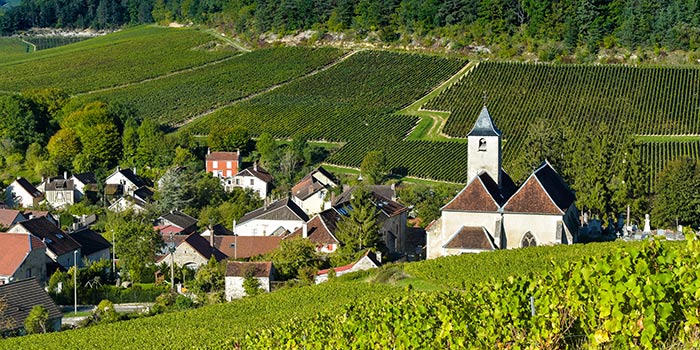 Viviers-sur-Artaut Vineyards